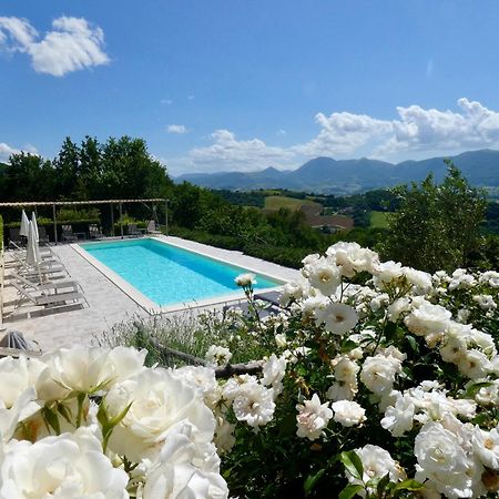 Borgo Crispiero Bed and Breakfast Buitenkant foto