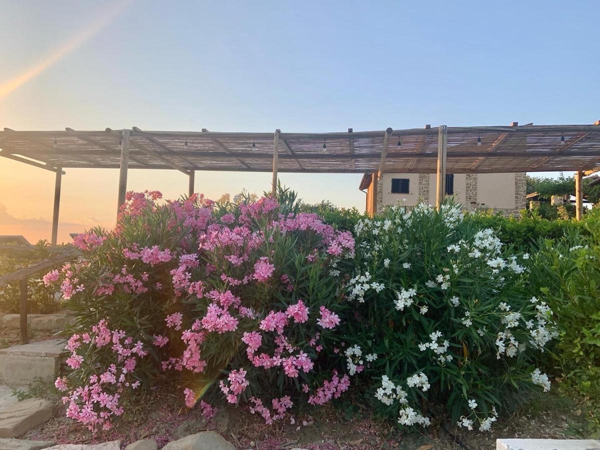 Borgo Crispiero Bed and Breakfast Buitenkant foto