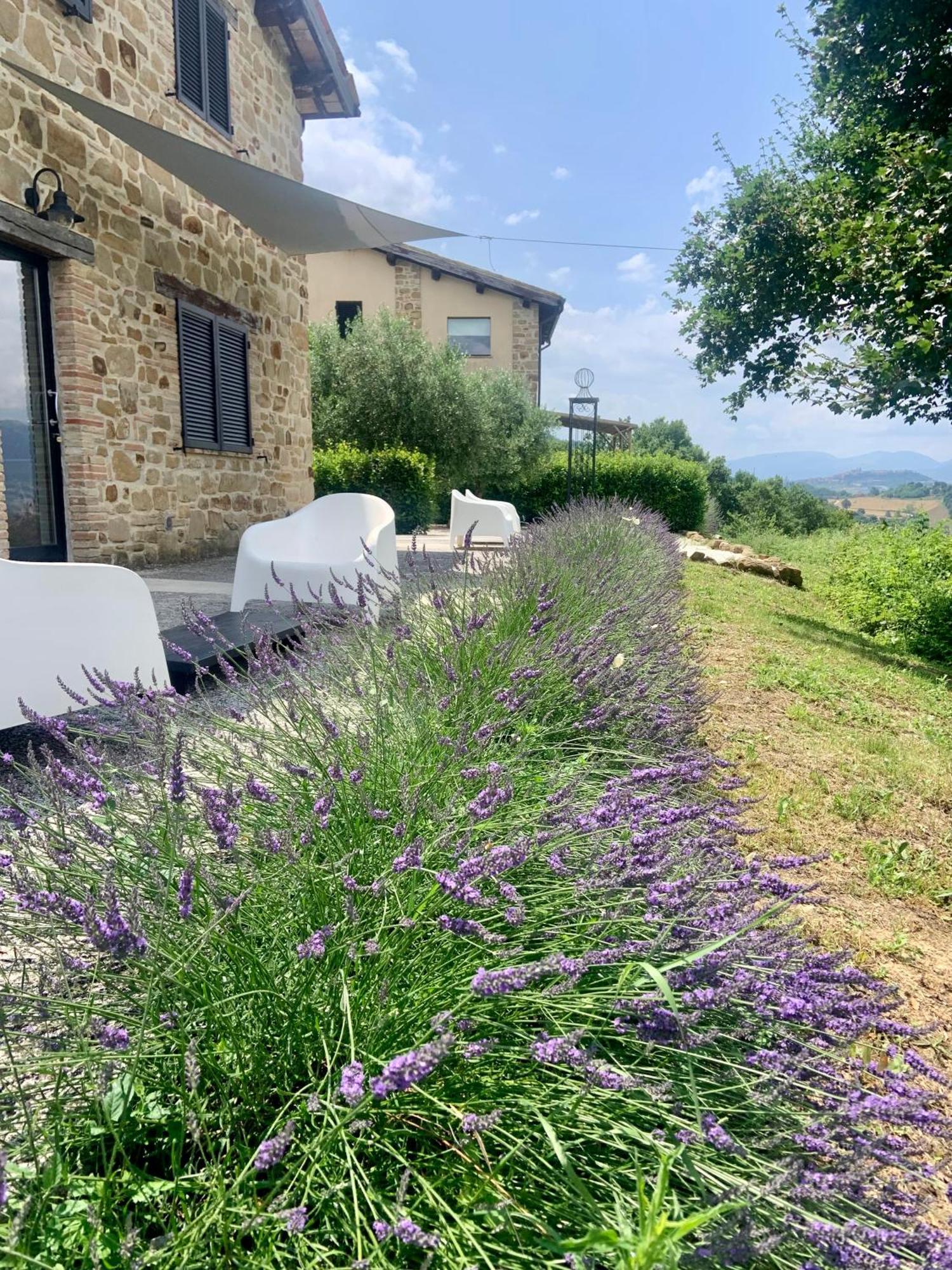 Borgo Crispiero Bed and Breakfast Buitenkant foto