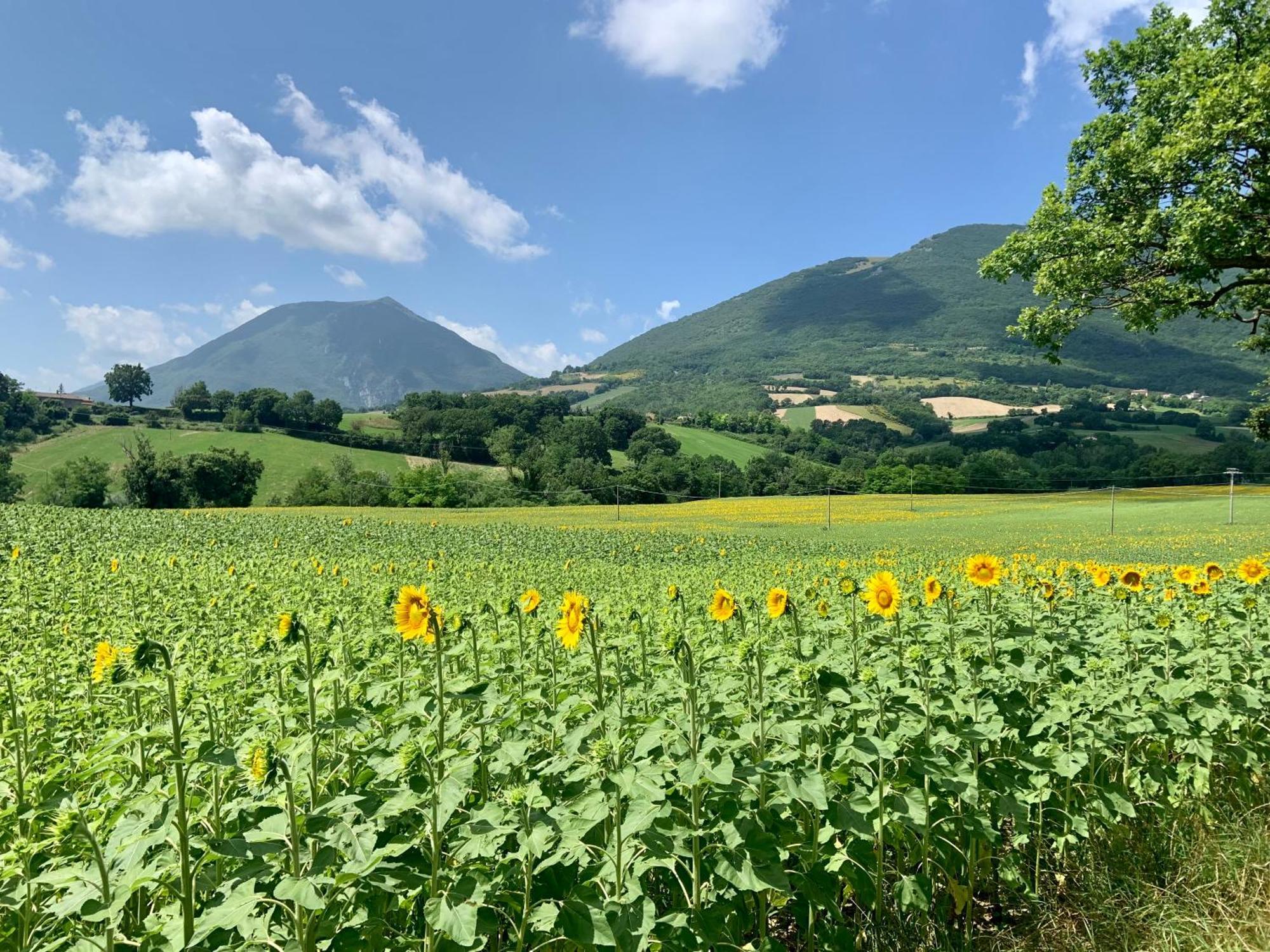 Borgo Crispiero Bed and Breakfast Buitenkant foto