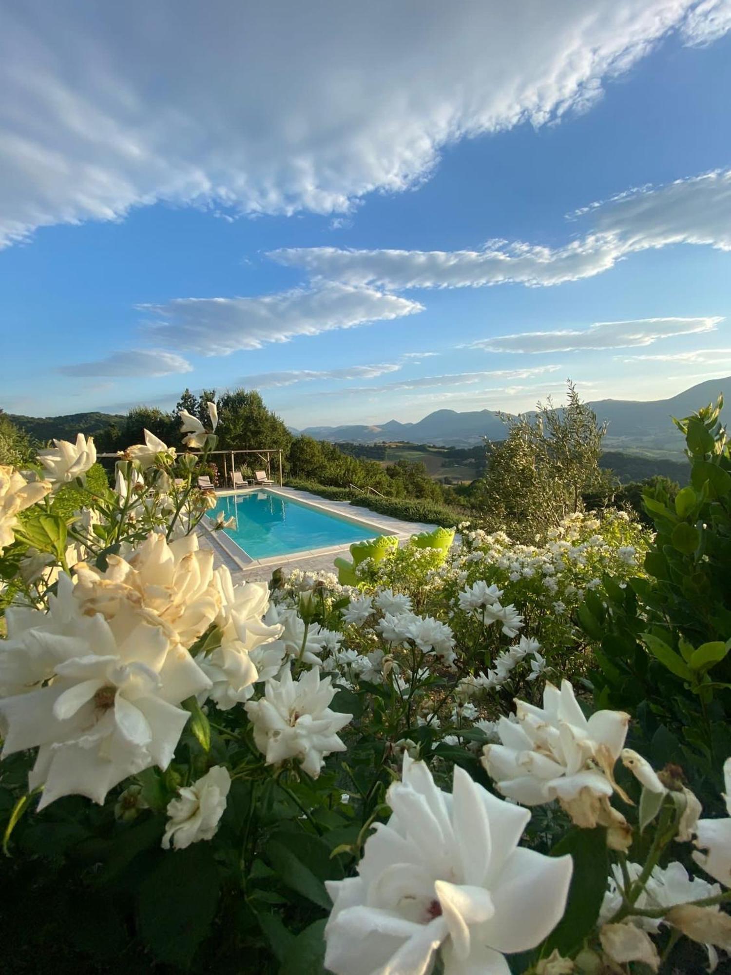 Borgo Crispiero Bed and Breakfast Buitenkant foto